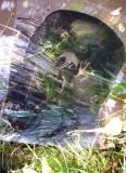 image from Orpheus Project film