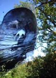 image from Orpheus Project film